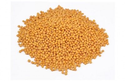 Yellow Mustard Seeds 910 grams